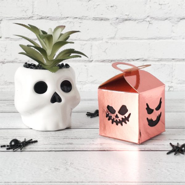 Halloween Pumpkin Treat Box